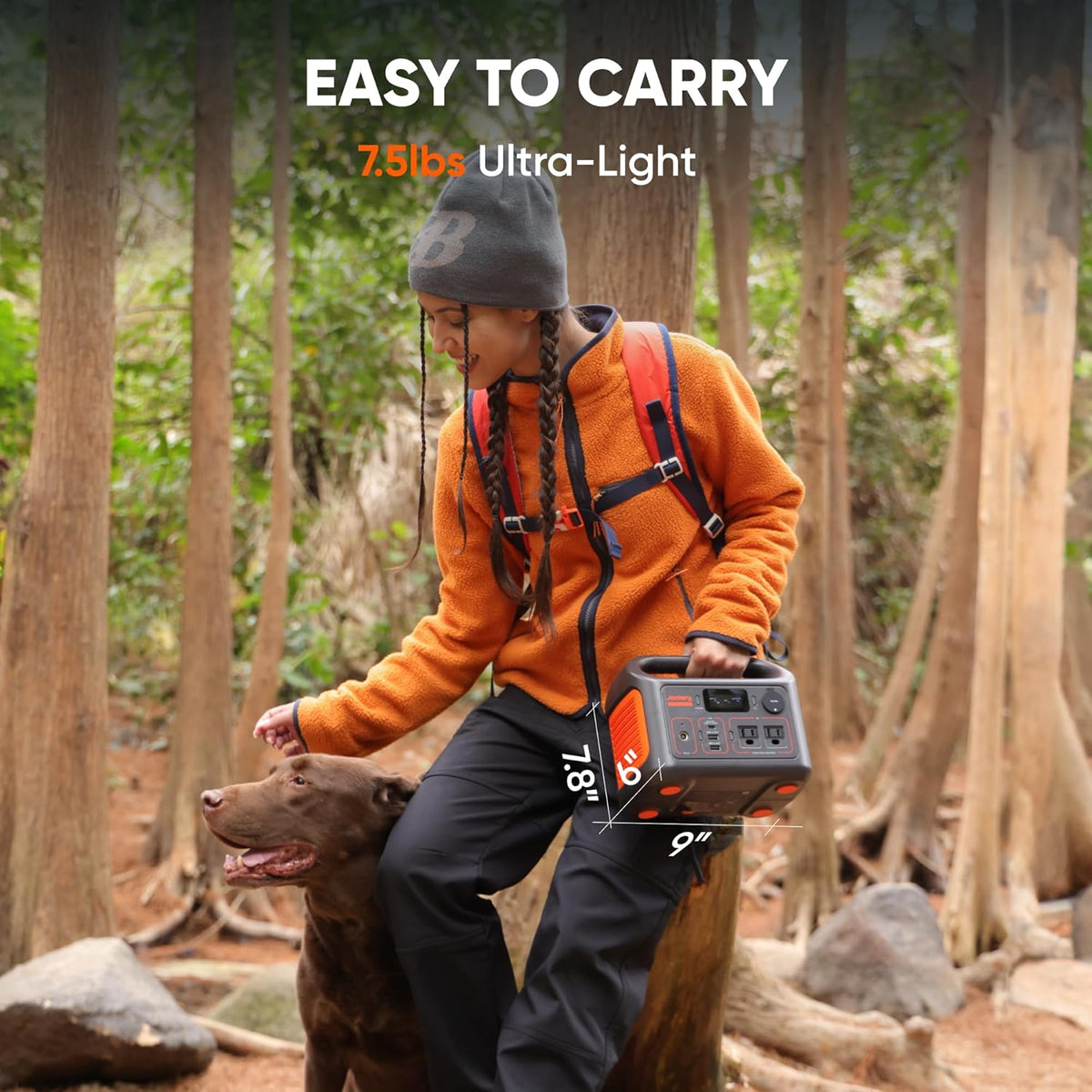 Jackery Explorer 300 and Carrying Bag,292Wh